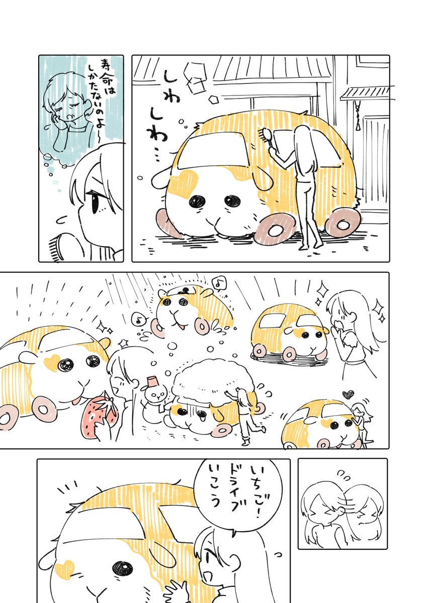 モルカー😭😭😭😭😭😭😭😭😭😭😭😭😭 