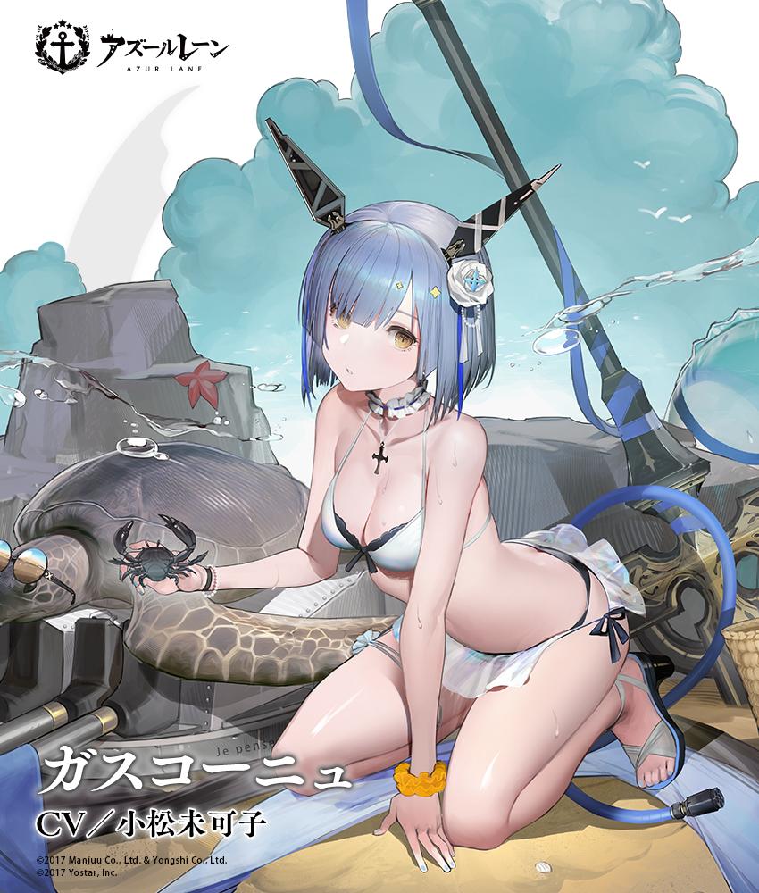 主(メートル)、『砂浜で遊び』について詳細の指示を求む」 近日登場予定