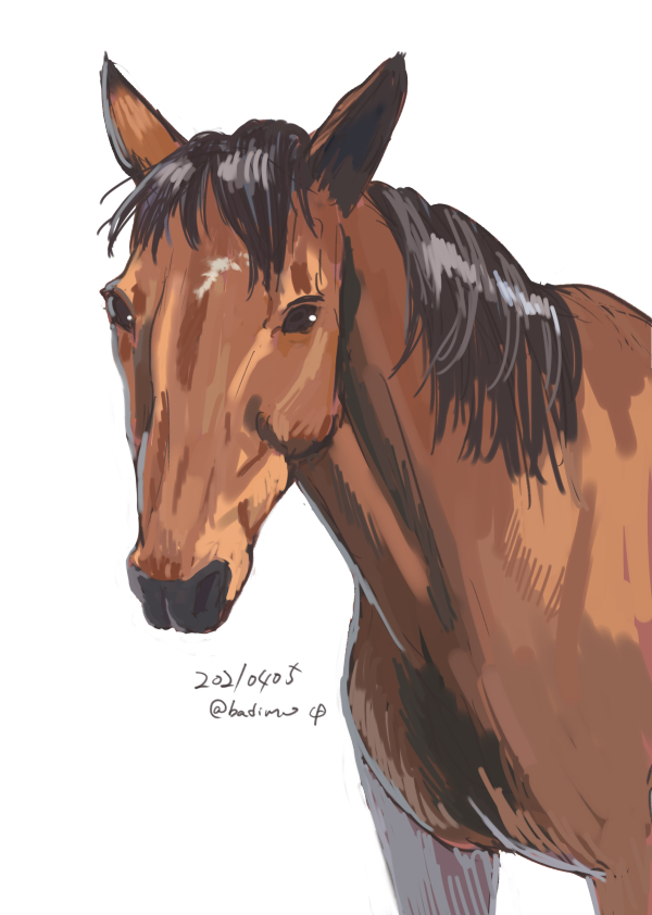 高校生の息子が今流行ってるおうまさんのゲームでハルウララが好きらしく、描いてって言われたから一生懸命描いてLINEで送ったんだけど反応がない 