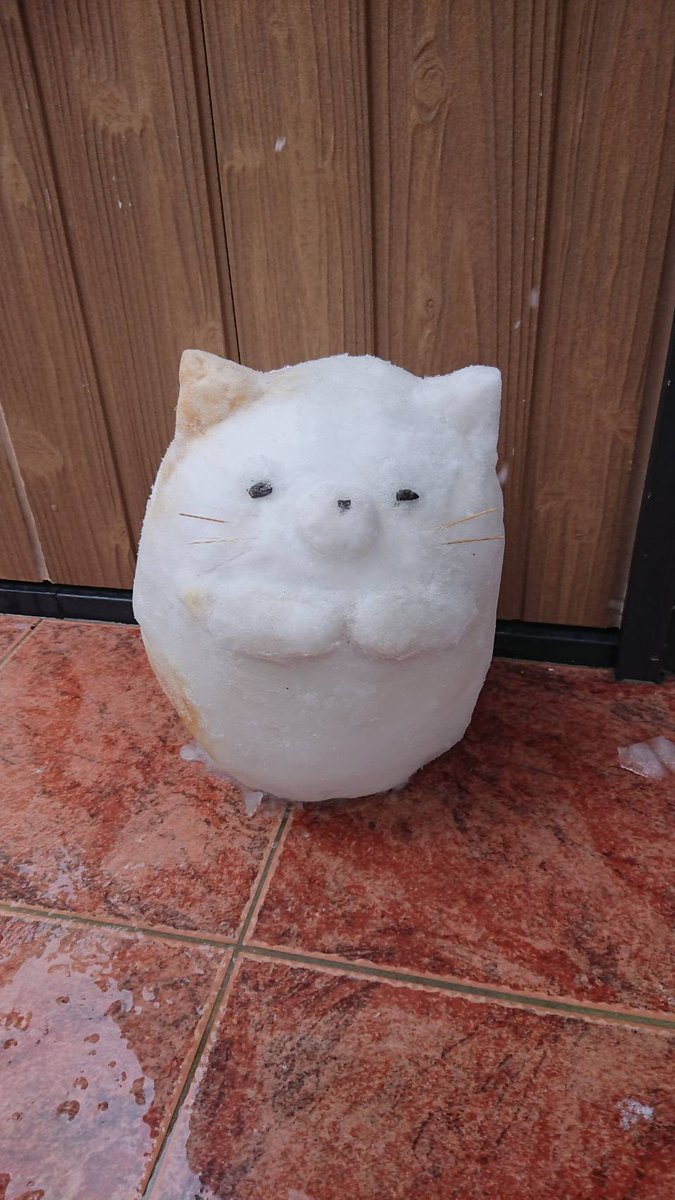うちの美人姉が雪で作ったすみっコぐらしのねこがマジでヤバいから見てくだちい… 