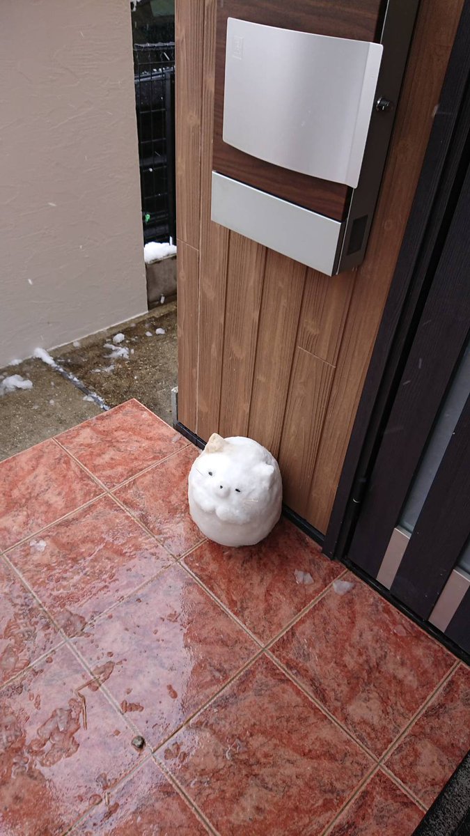 うちの美人姉が雪で作ったすみっコぐらしのねこがマジでヤバいから見てくだちい… 