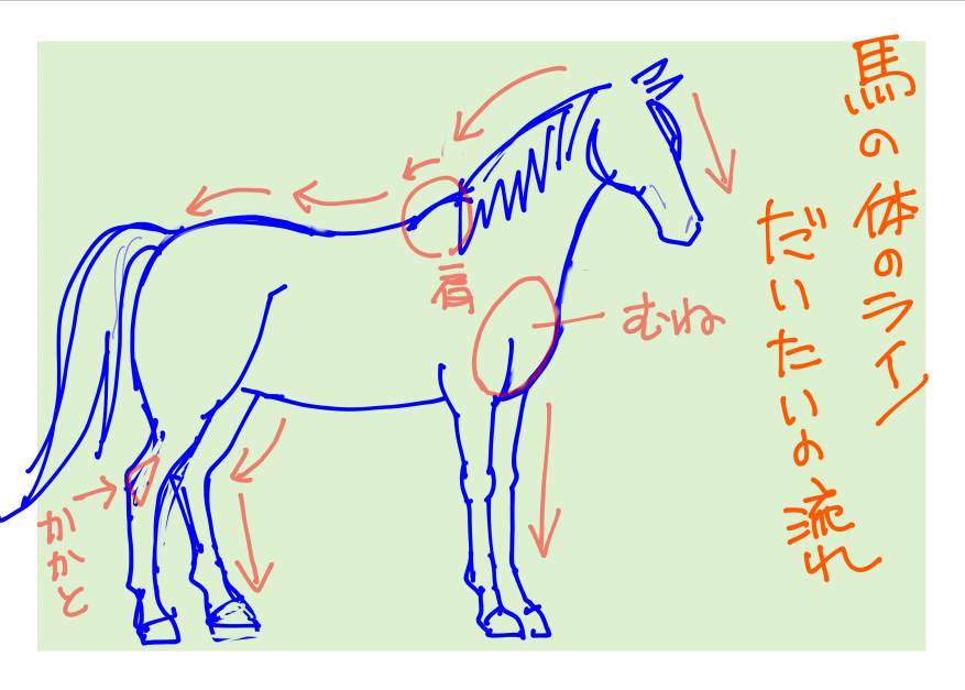 🤔  ※30分ぐらいで、大急ぎで描いた記憶があるので、本当に雑な殴り書きでスイマセン〜〜🐎😅 