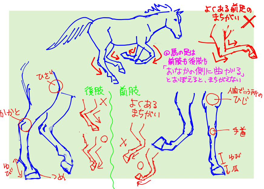 🤔  ※30分ぐらいで、大急ぎで描いた記憶があるので、本当に雑な殴り書きでスイマセン〜〜🐎😅 