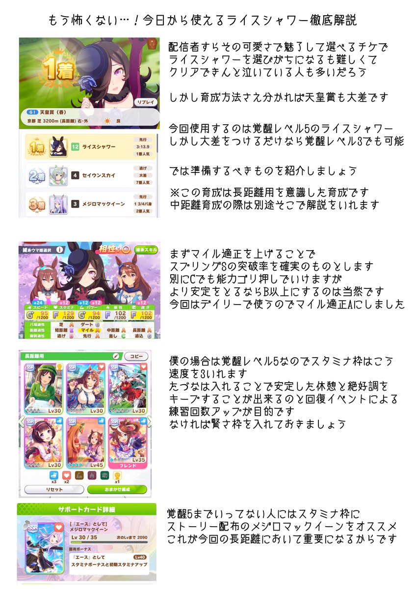 ライスシャワー育成方法と”最高速維持型”育成について ※100回ほど検証した結果の自論も入っています