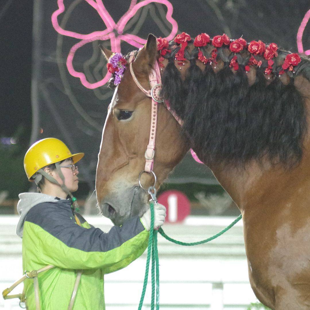 『ウマ娘』のリリースを期に、ばんえい競馬やばん馬に言及したツイートが増えており、大変ありがたいです