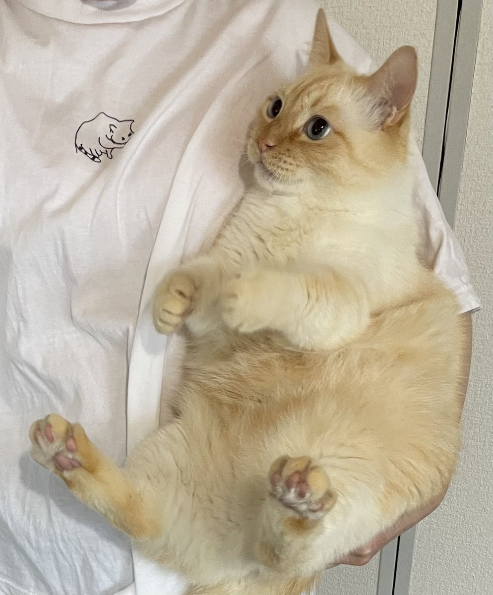 左手が限界なんよ（6キロ 