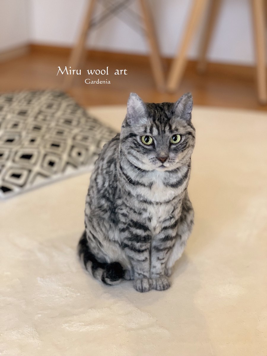 実物大羊毛フェルトのサバトラの静止画バージョンで~す(≧▽≦)✨サイズ比較でうちのぽっちゃんに協力してもらいました💛 #needlewook #羊毛フェルト #猫 #woolart #Cat