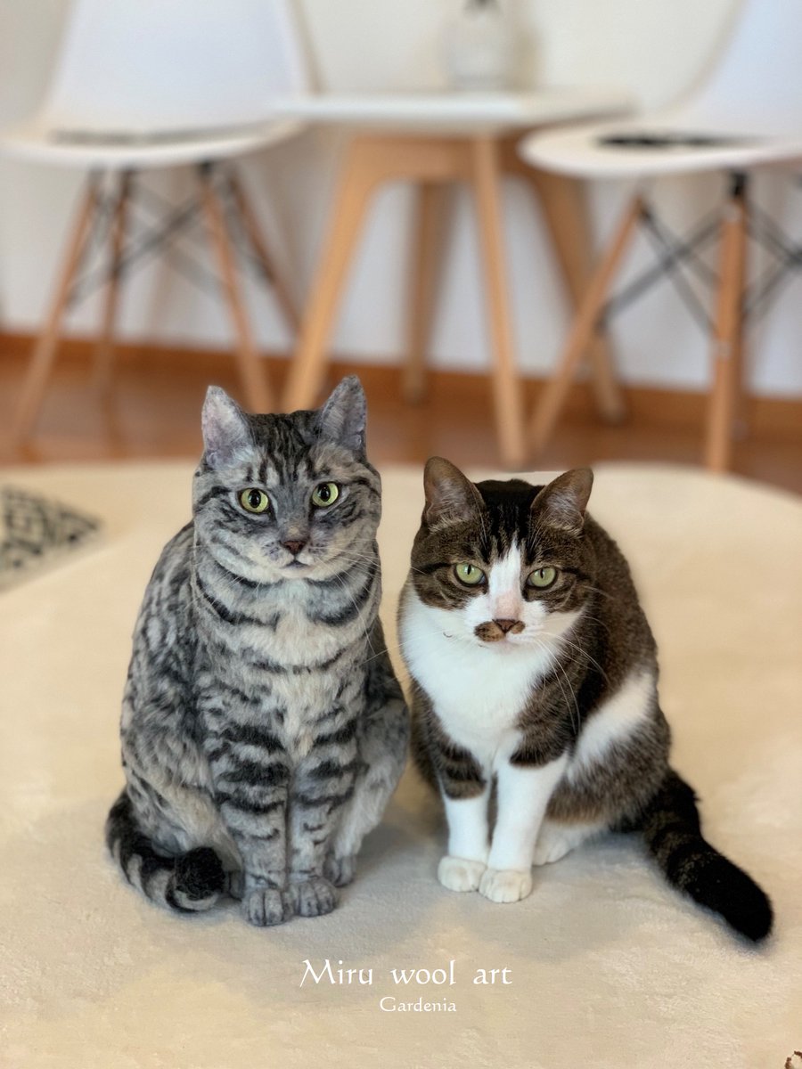 実物大羊毛フェルトのサバトラの静止画バージョンで~す(≧▽≦)✨サイズ比較でうちのぽっちゃんに協力してもらいました💛 #needlewook #羊毛フェルト #猫 #woolart #Cat