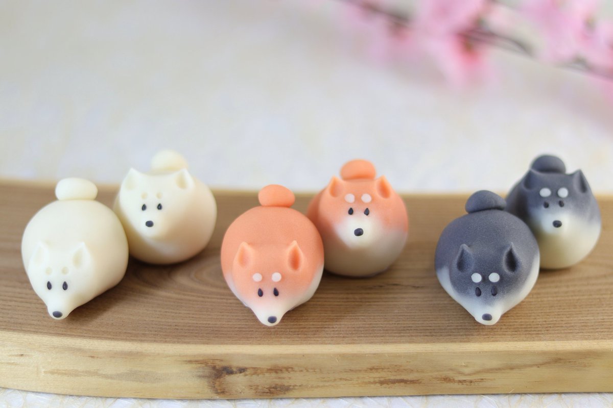 4月8日は『柴の日』🐕  柴犬の日のために作り上げた練り切り製の茶柴、黒柴、白柴です🍡 和菓子特有の丸みのあるフォルムがチャームポイントです
