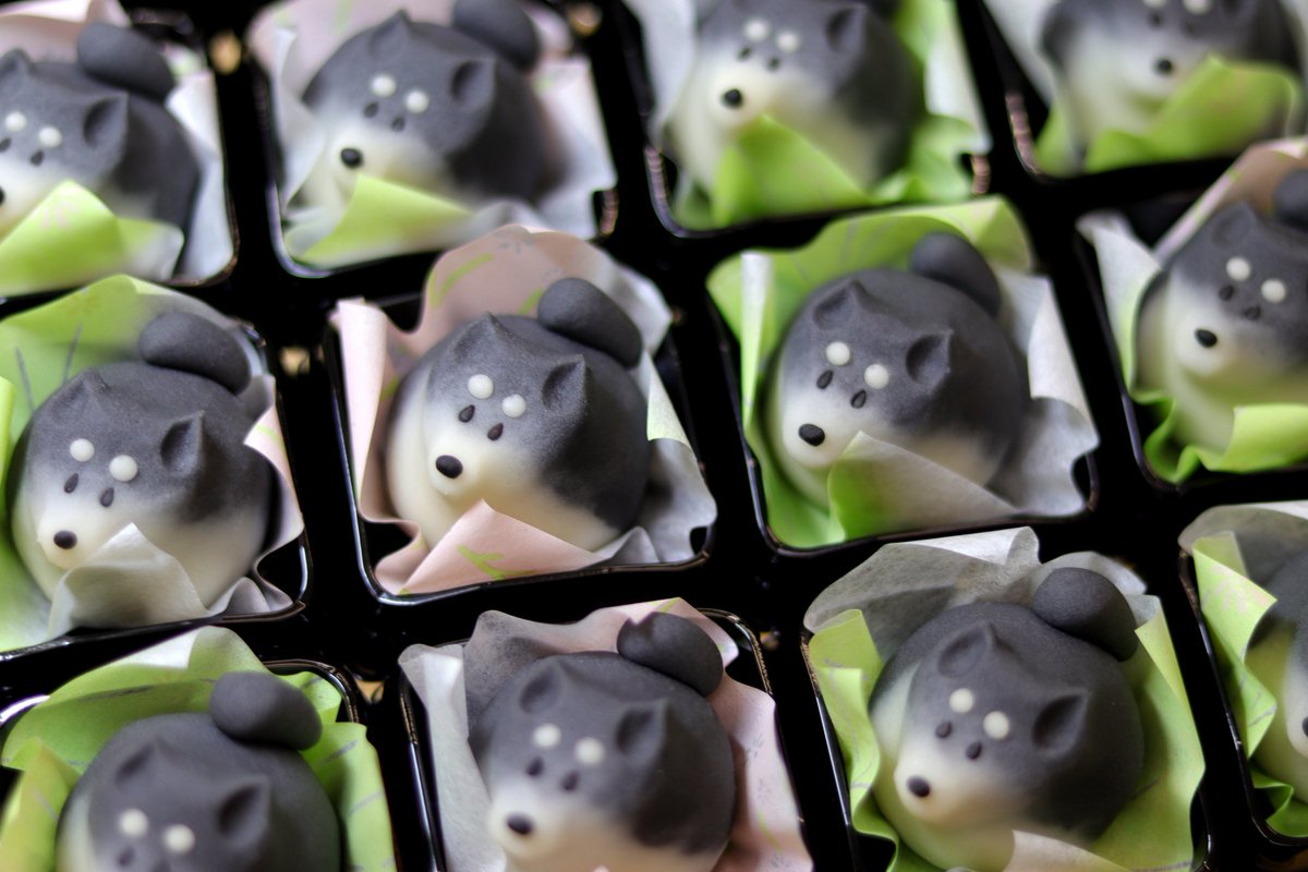 4月8日は『柴の日』🐕  柴犬の日のために作り上げた練り切り製の茶柴、黒柴、白柴です🍡 和菓子特有の丸みのあるフォルムがチャームポイントです