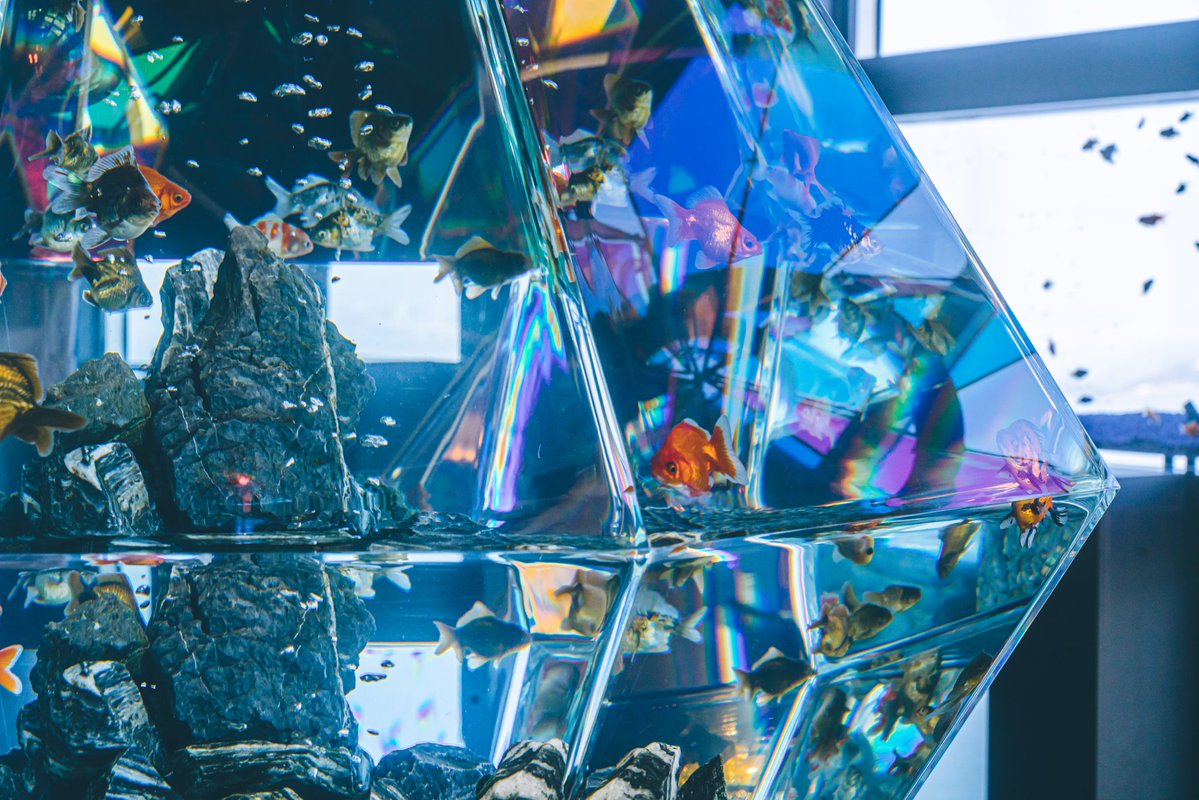 地上157mに行く為にゴールドタワーという名のビルに入りエレベーターで最上階の天空フロアに上ったら突然目の前に豪華なセーブポイントが現れたので「まさか…ボス戦の前…」と狼狽えた