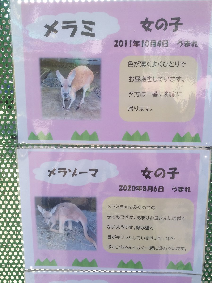 なぜその名前にしたのか 