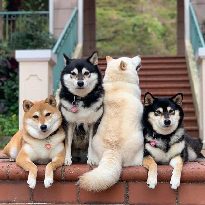 まじ最高な奴いるな… 