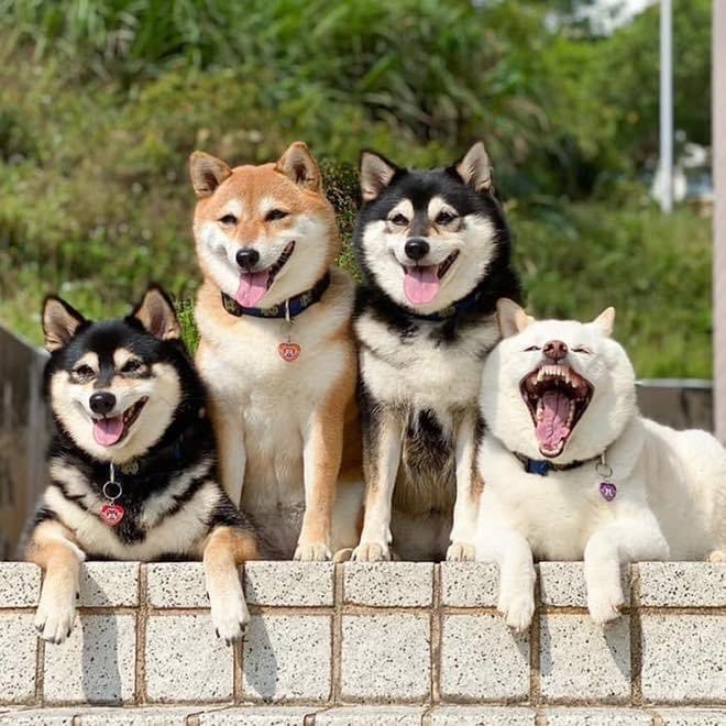 まじ最高な奴いるな… 