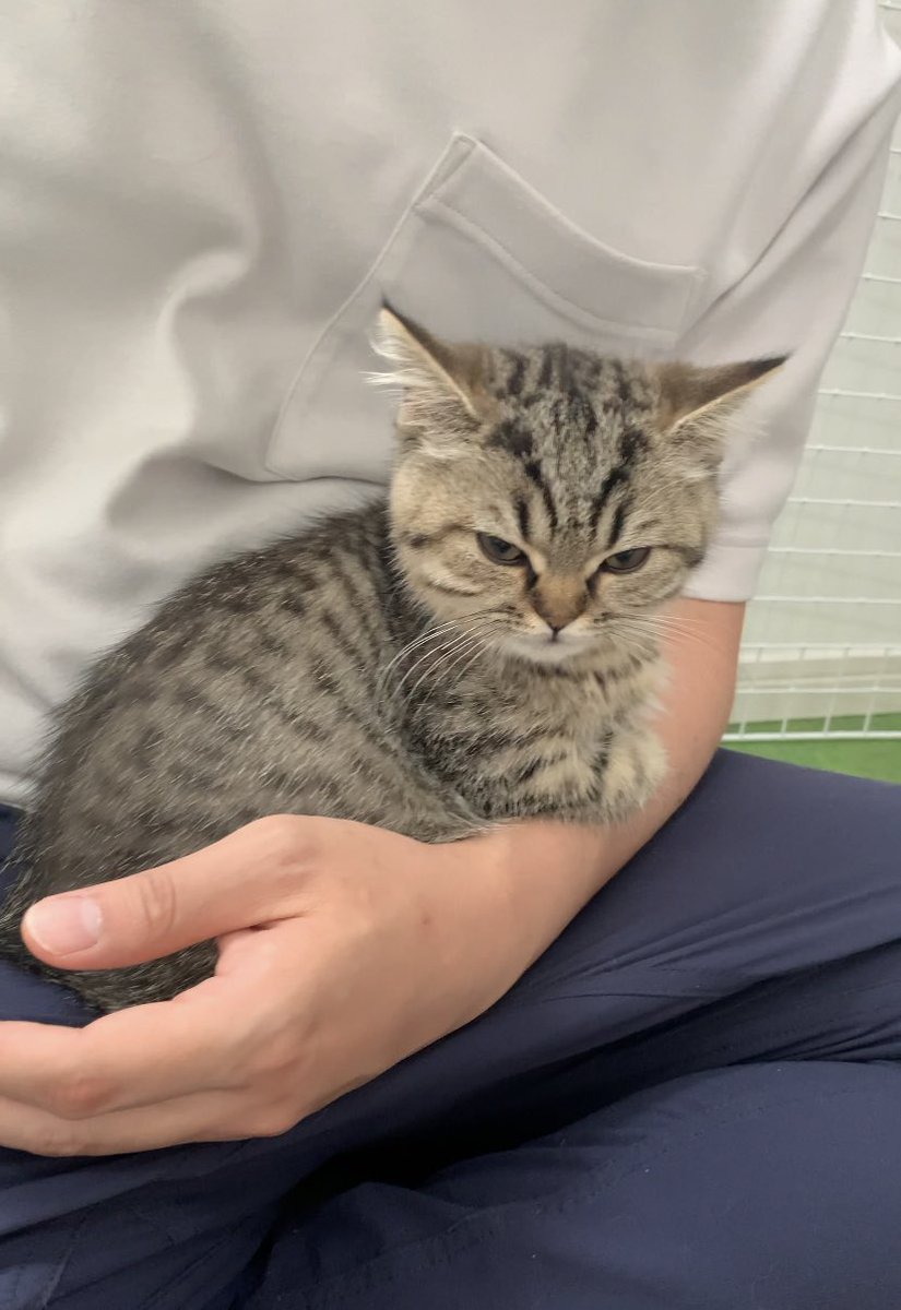 今日シャンプーしたこと、完全に怒ってます… 