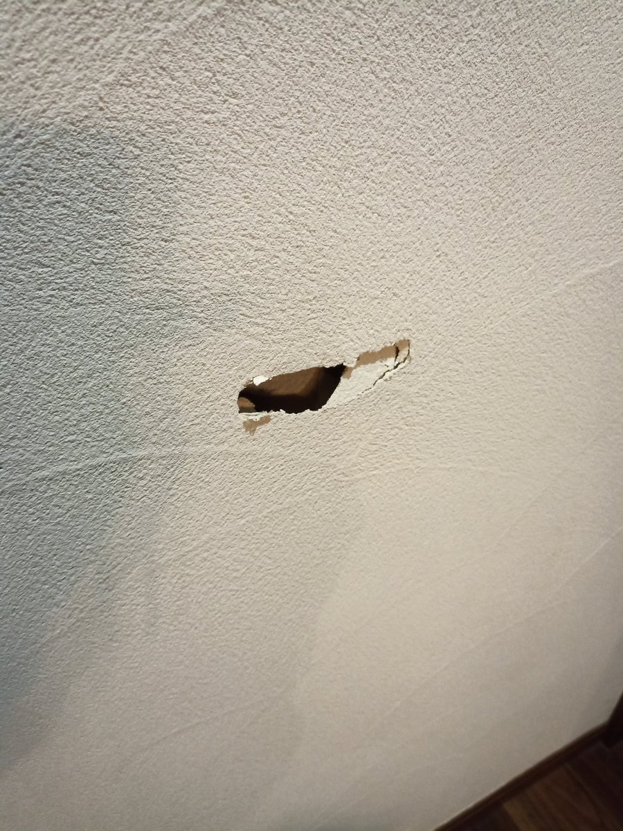 と聞いたら「元通りにはならないけど…」って後日トトロの休憩所になってた