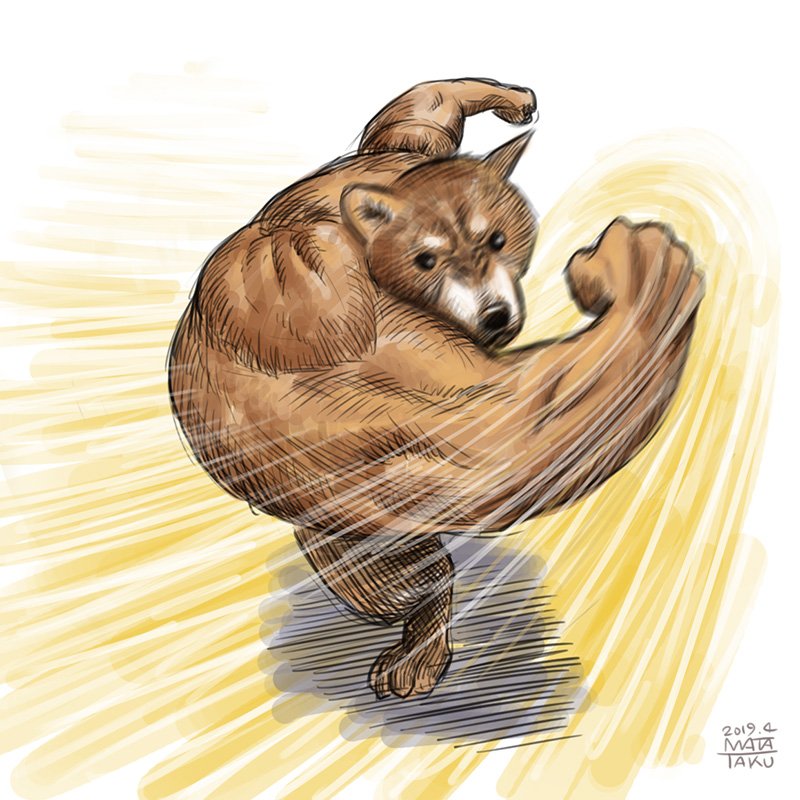 マッチョアニマル四天王が揃った！？🐶🐱🦊🦅 