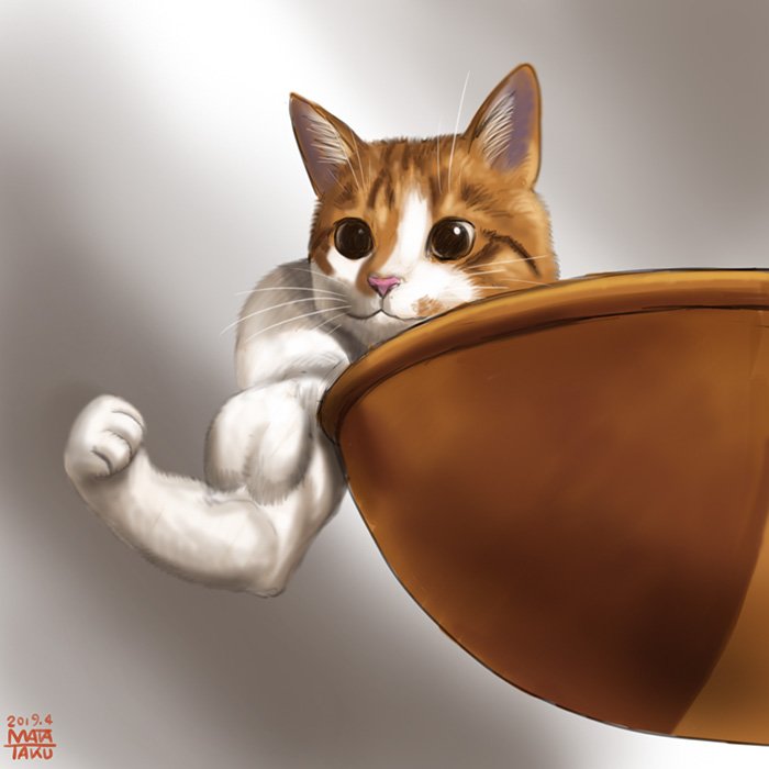 マッチョアニマル四天王が揃った！？🐶🐱🦊🦅 