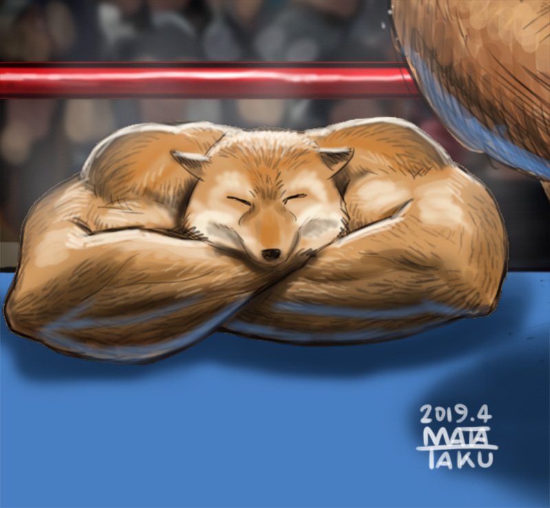 マッチョアニマル四天王が揃った！？🐶🐱🦊🦅 