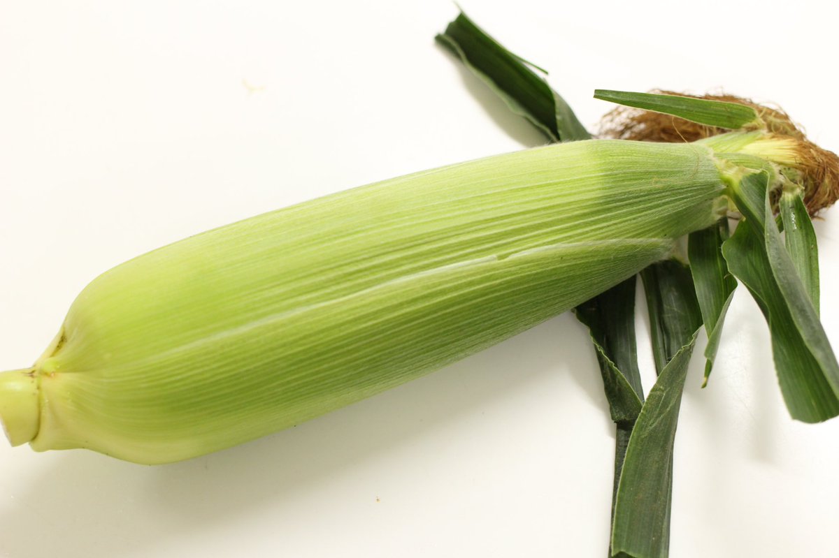 有名すぎてご存知の方めっちゃ多いと思いますが、知らない人の為にもお伝えします‼️  【🌽の簡単メチャうまな食べ方】  ❶皮付きのまま500wで5分レンチン ❷粗熱が取れたら皮を剥く  見て…実にシワがなくて、ツヤッツヤ… 