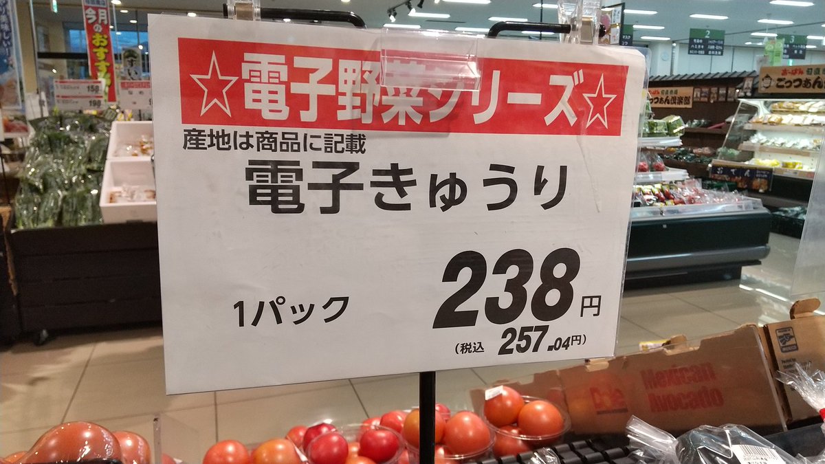 ＿人人人人人人人人人人＿ ＞　電子きゅうりとは　＜ ￣Y^Y^Y^Y^Y^Y^Y^Y^Y￣ 