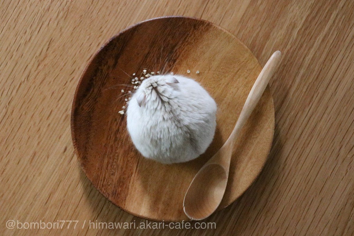 今日のおやつ。 