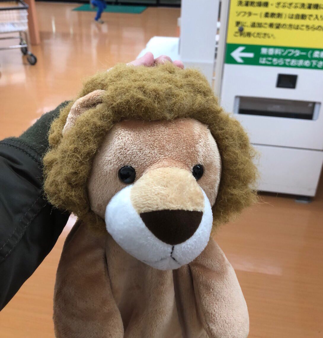 これは去年の冬、乾燥機に入れられてパンチパーマになったライオンのリュック 