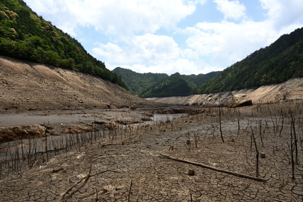 貯水率ゼロの宇連ダム 湖底に沈んだ橋が出現 