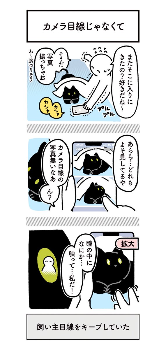 よそ見しててぜんぜんカメラ目線じゃないねこの写真をたまたま拡大したら心がホワホワしたときの絵日記 #ろんの絵日記 