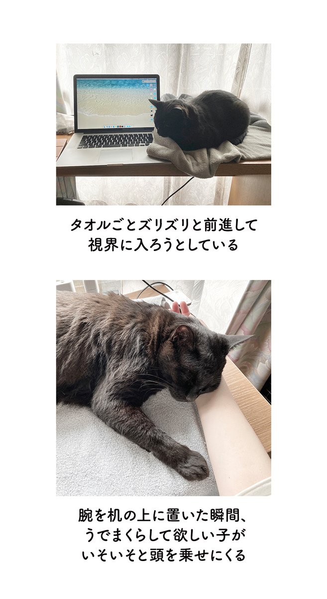 たのしい在宅ワークの絵日記 #ろんの絵日記 