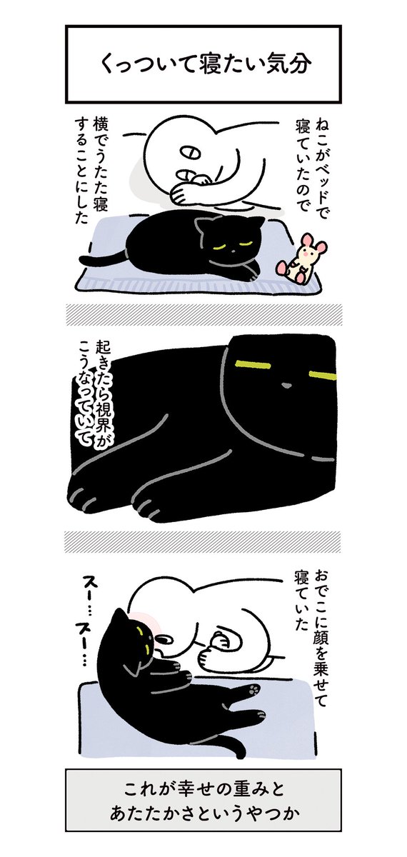 いつも一緒にいようとしてくれるねこの絵日記(4枚) #ろんの絵日記 