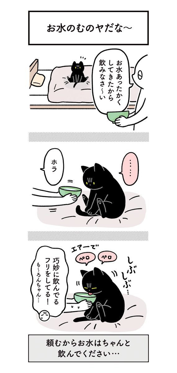 健康のためにちゃんとお水飲んでほしい飼い主と、たまに不条理なねこの絵日記（3まいある） #ろんの絵日記 
