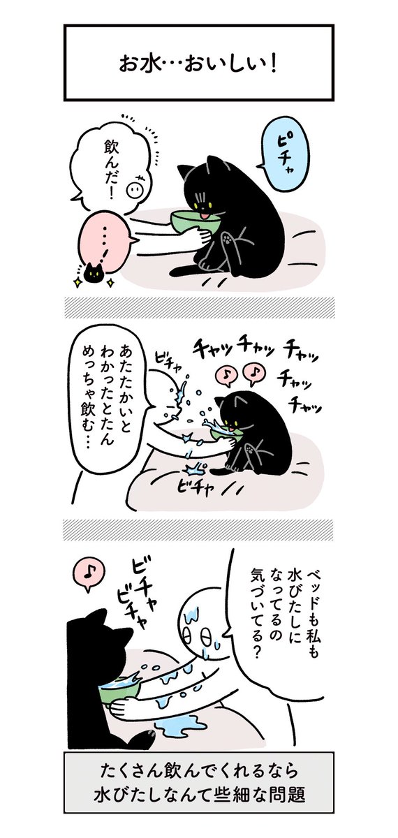 健康のためにちゃんとお水飲んでほしい飼い主と、たまに不条理なねこの絵日記（3まいある） #ろんの絵日記 