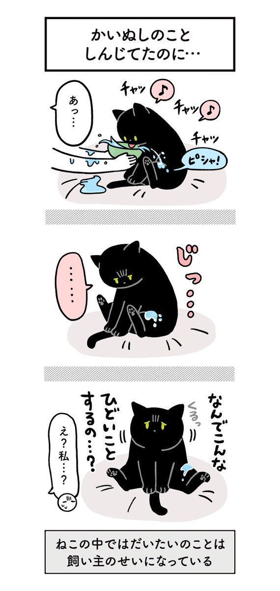 健康のためにちゃんとお水飲んでほしい飼い主と、たまに不条理なねこの絵日記（3まいある） #ろんの絵日記 