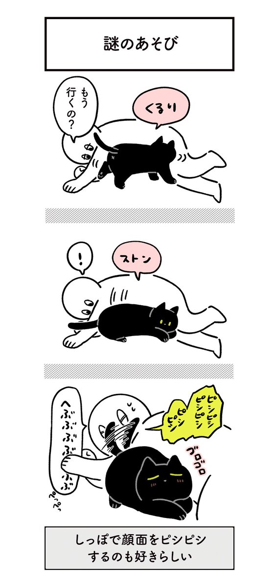 ねこに翻弄されつつもたのしい日常の絵日記（4まいある） #ろんの絵日記 