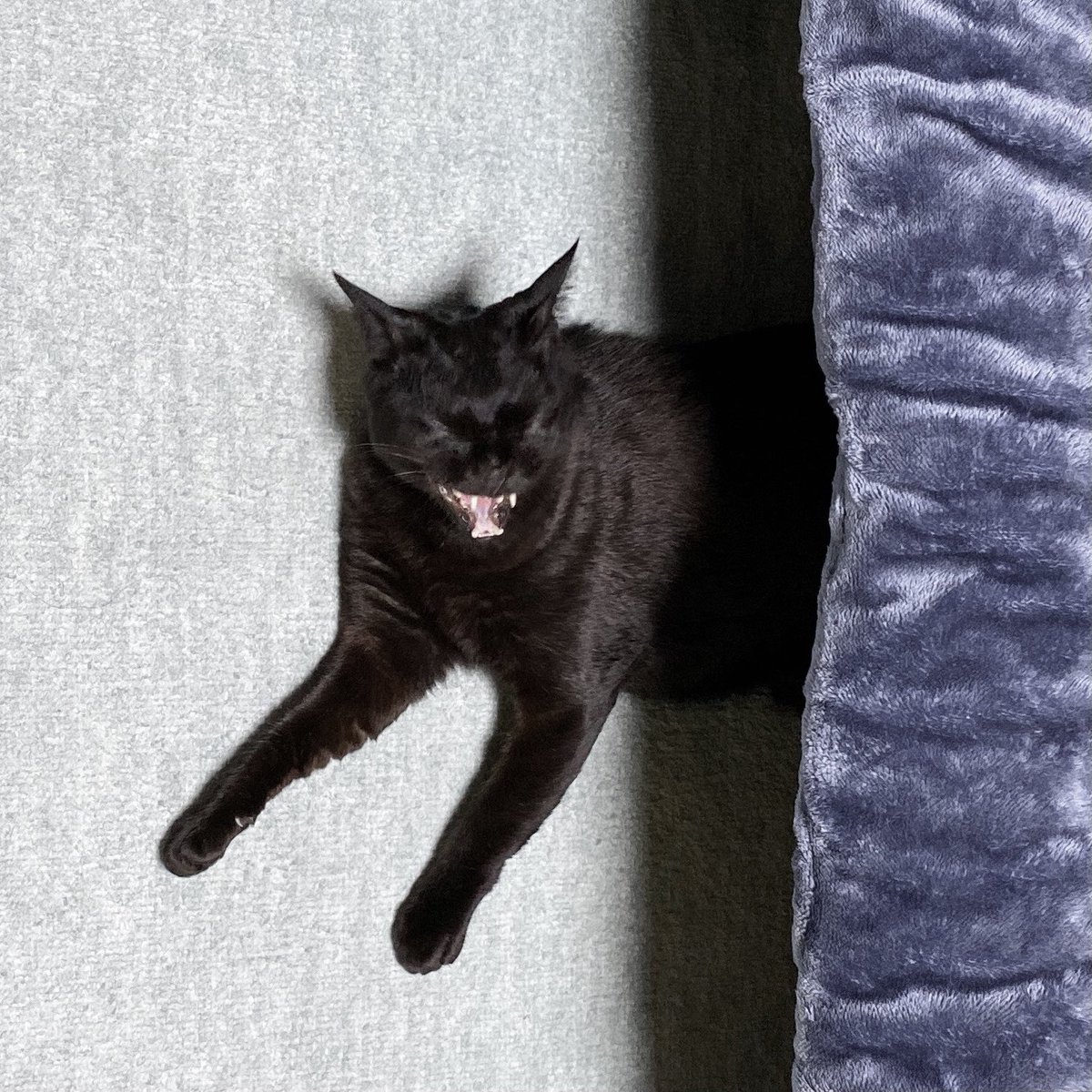 そんなマンガみたいな目になることある？？ 