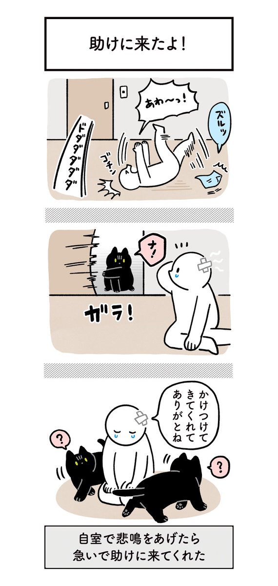 ねこに大事にされるとうれしい気持ちになる絵日記（２まい＋写真） #ろんの絵日記 