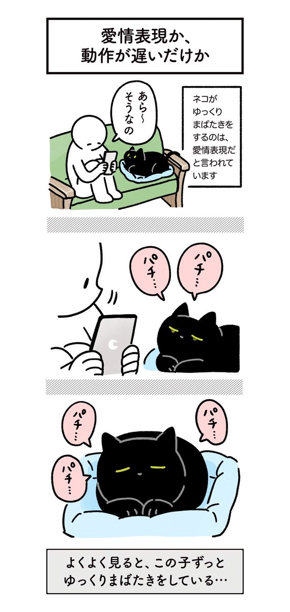 ねこからの愛情表現を浴びるように受けてる絵日記　#ろんの絵日記 