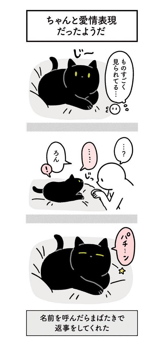 ねこからの愛情表現を浴びるように受けてる絵日記　#ろんの絵日記 