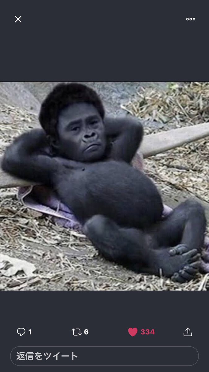 違和感の無いコラ選手権  画像1枚目2枚目が入選 3枚目が金賞 4枚目が最優秀賞です↓  やばいやつはインスタに貼りました