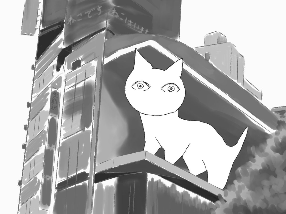 新宿にねこはいます 