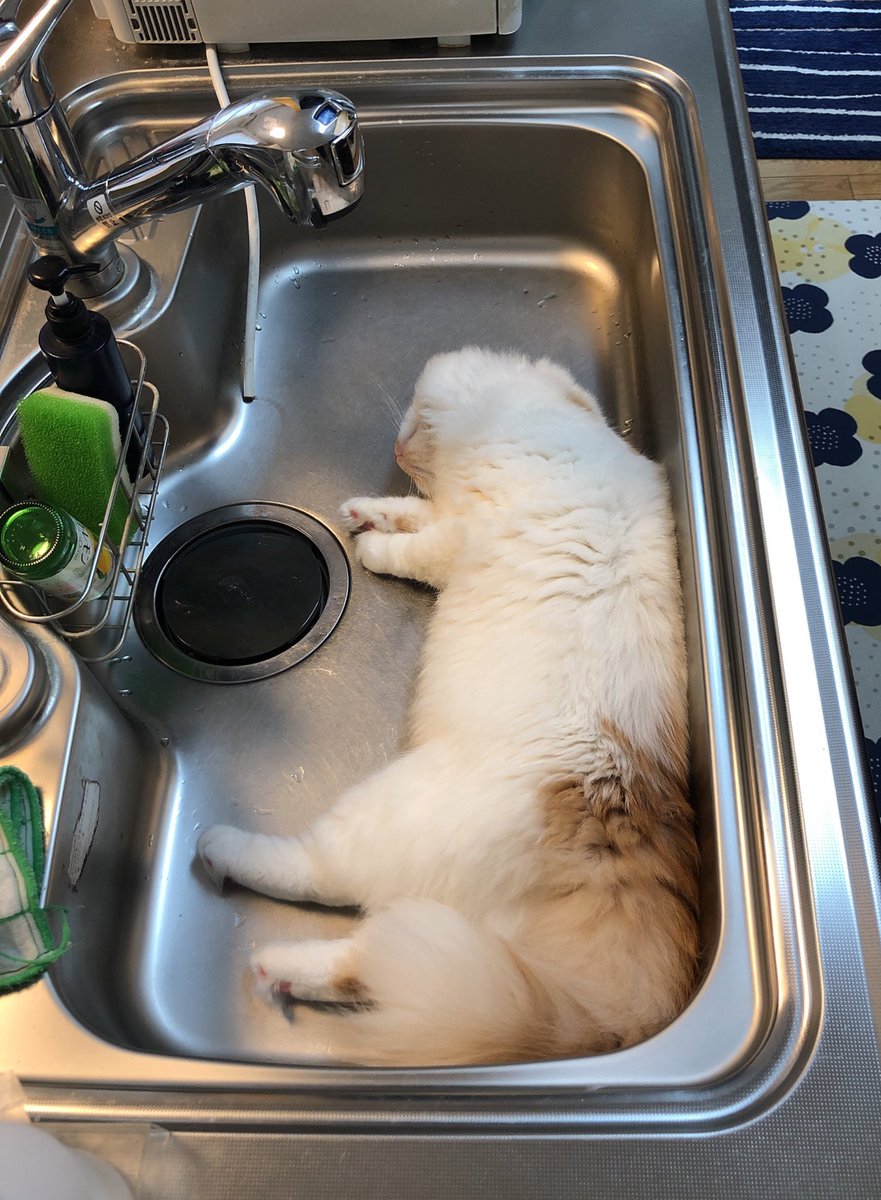 洗って良いですかw 