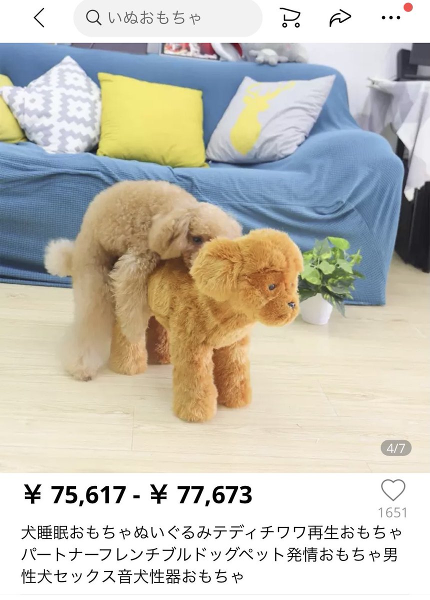 犬もオナホ使う時代なん？ 