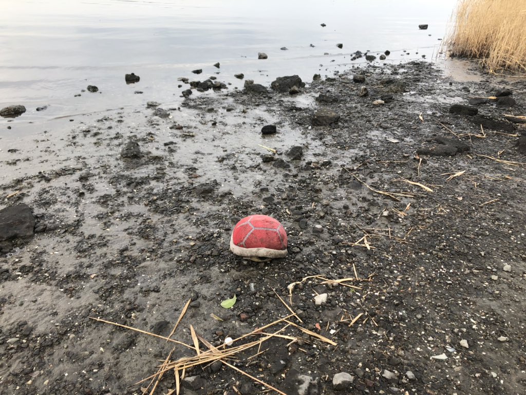の死体が漂着していました… これってしかるべき所に連絡した方がいいのでしょうか