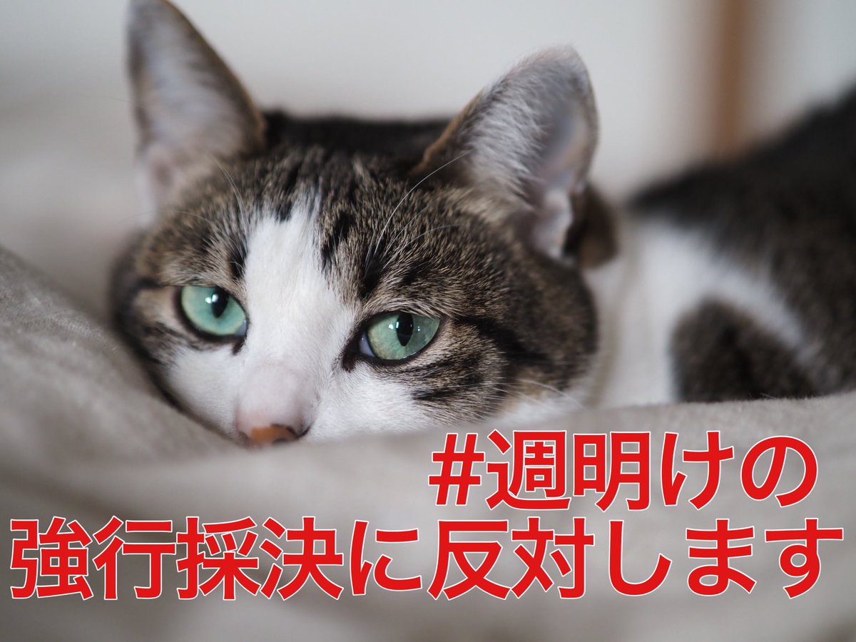 安保法制や沖縄の基地問題、三権分立には何の関心もない