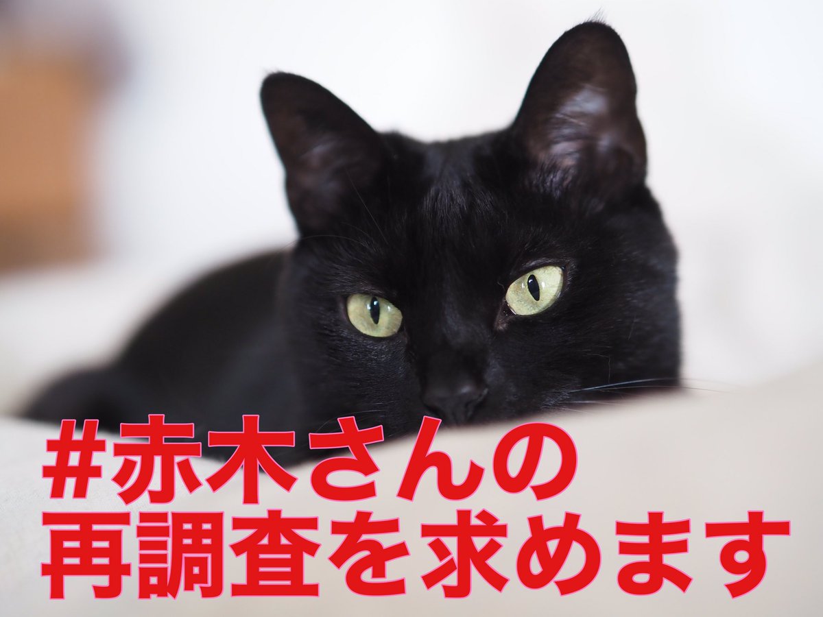 森友事件にかかる文書改ざんの責任を押し付けられそうになって自ら命を絶った赤木さん