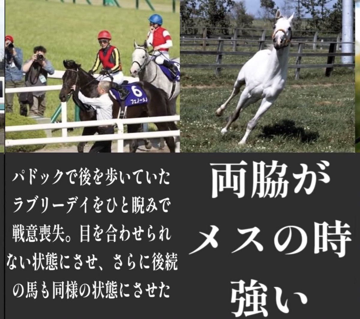 ゴールドシップ好きになった 