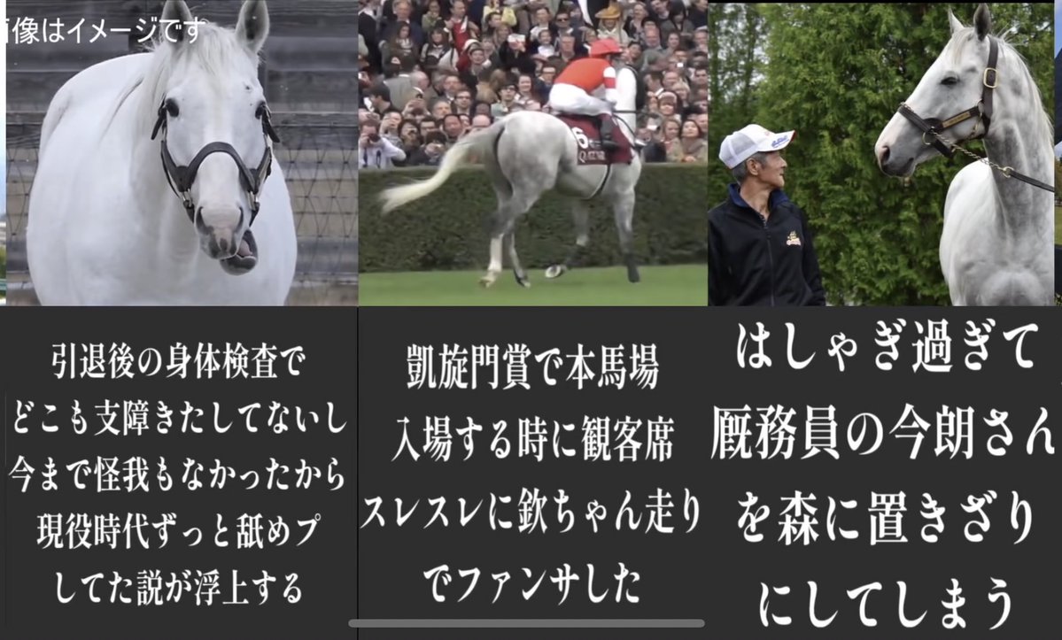 ゴールドシップ好きになった