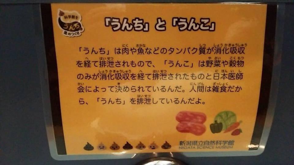 ここ最近で一番衝撃を受けたかもしれない。 