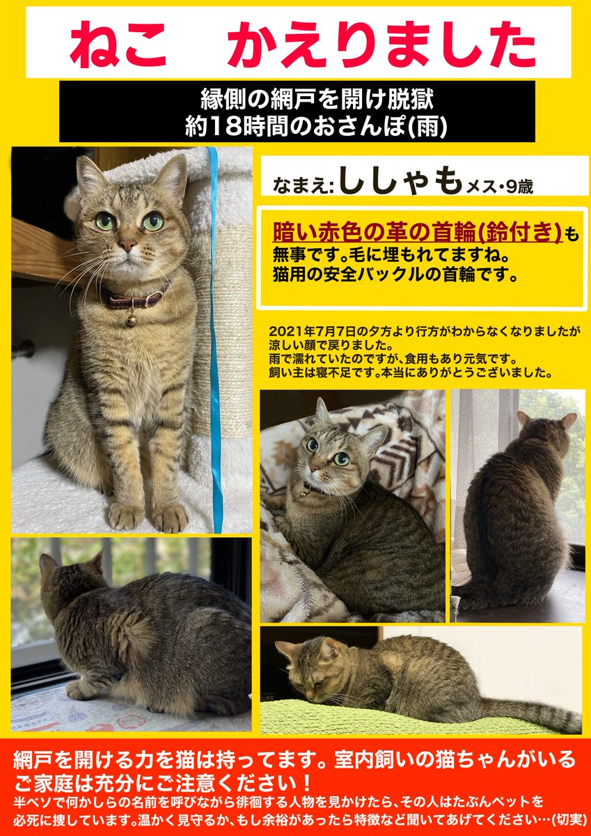 （シシャモは回遊魚というリプ笑いました） 宣伝は「室内猫飼いの皆、奴等は網戸を開ける